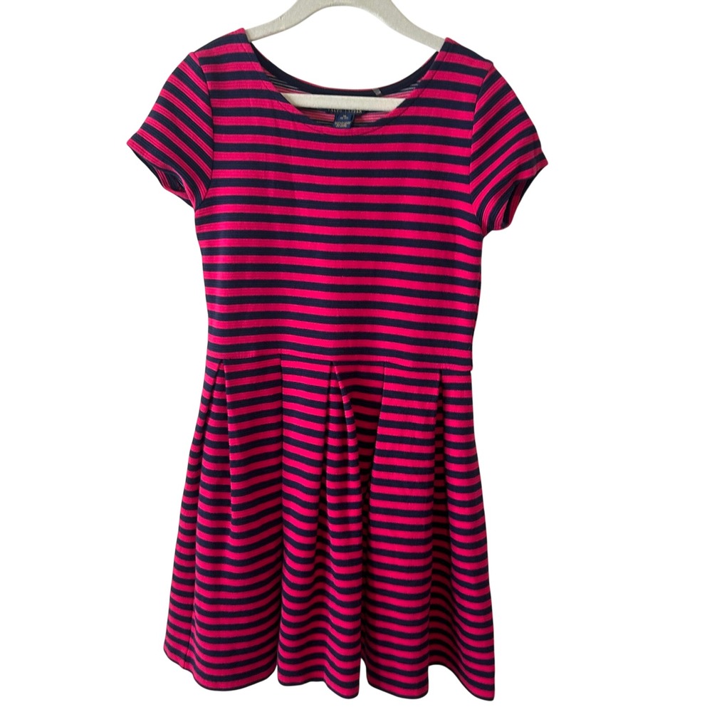 Polo Ralph Lauren Girl's Hot Pink and Navy Striped Fit and Flare Dress in Size M